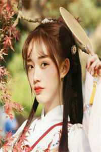 杨胜军徐子矜陆寒洲短篇小说阅读
