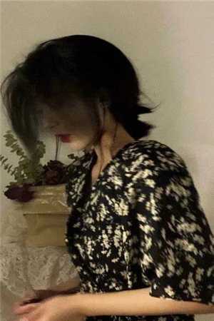 我做扒手那些年长篇小说
