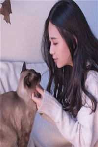 全文小说陆寒洲徐子矜笔趣阁