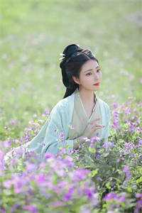 周凡叶娴妃