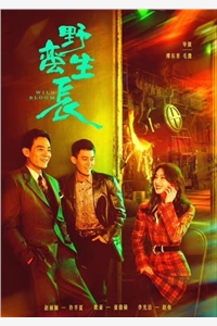 娇软表妹进府：禁欲世子疯魔了后续